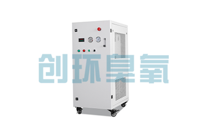 古冶比传统换水更高效？臭氧发生器在石斑鱼养殖中的水质净化原理解析